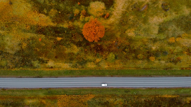 从以上观点。鸟瞰图飞越秋天自然道路运行的乡村。路在秋景航拍。秋日，白色汽车行驶在五彩缤纷的风景中视频素材