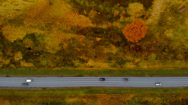 从以上观点。鸟瞰图飞越秋天的自然和道路运行通过乡村。路在秋景航拍。秋日，汽车行驶在五彩缤纷的风景中。视频素材