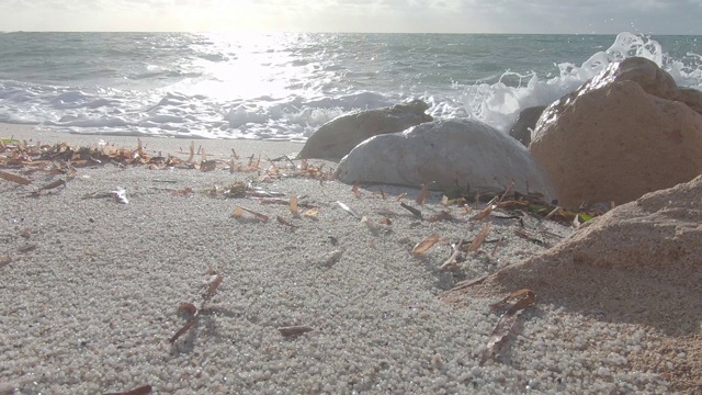 白色石英砂颗粒与海浪的背光视角，海岸上的波西多尼海草叶子和背景为多云天空的石灰岩岩石视频素材