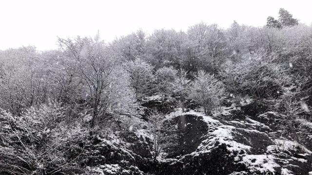 慢镜头冬天下雪。有白雪覆盖的树木和岩石。视频素材