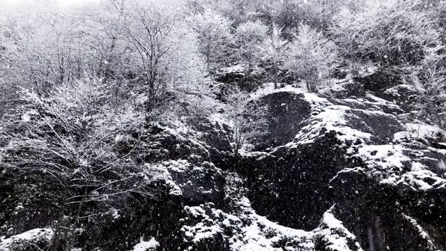 慢镜头冬天下雪。有白雪覆盖的树木和岩石。视频素材