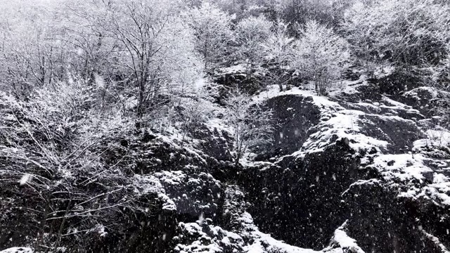 慢镜头冬天下雪。有白雪覆盖的树木和岩石。视频素材