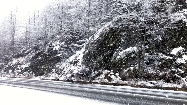 慢镜头:冬天下雪，树木被雪覆盖，岩石和柏油路。视频素材