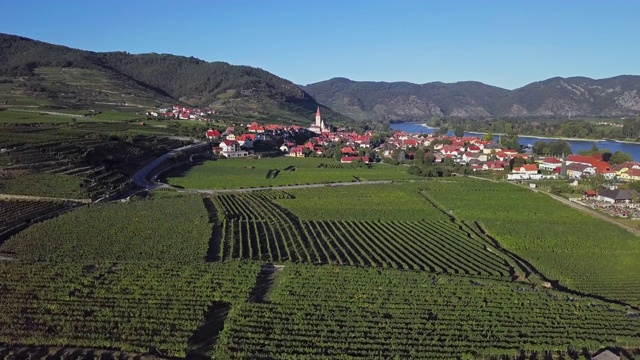 在德瓦肖镇和葡萄园的Weisenkirchen的空中全景图。瓦山谷,奥地利视频素材