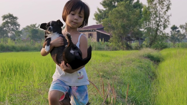 小女孩抱着可爱的小狗在绿草地上。视频素材