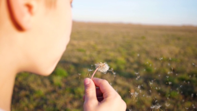 男孩在公园里吹蒲公英的种子，慢镜头视频素材