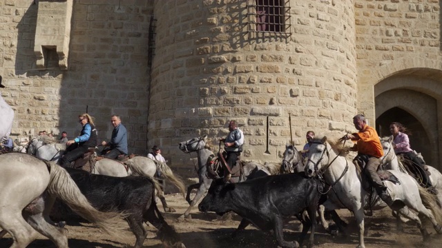 Aigues motes, Camargue, Occitanie，法国视频素材