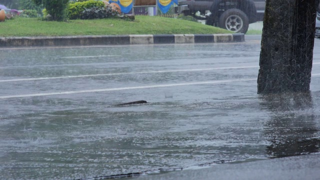 倾盆大雨时，大雨滴落在城市街道上。多雨的天气视频素材