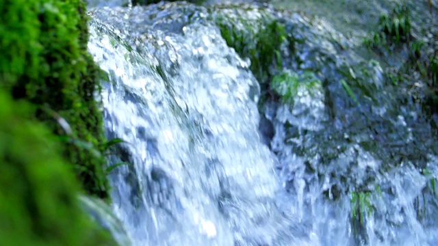 从长满苔藓的石头上流下的流水视频素材