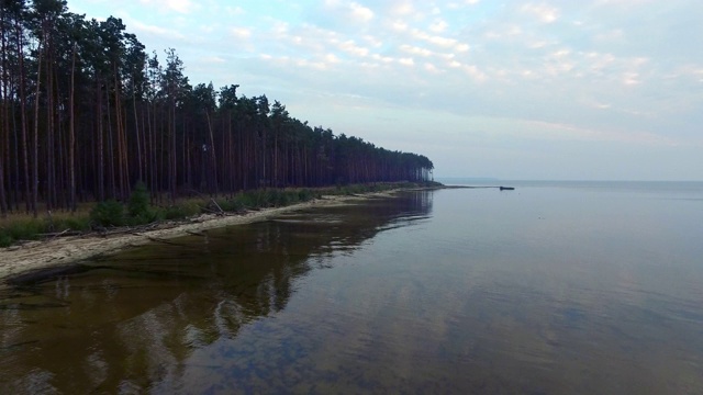 空中景观松林在湖海岸与透明的水视频素材