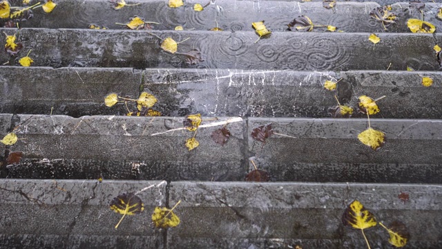 秋月里，一滴滴的雨点落在长满黄色树叶的水坑里的石阶上视频素材