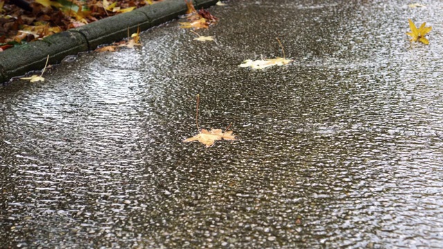 秋天黄叶在雨天在人行道上流淌视频素材