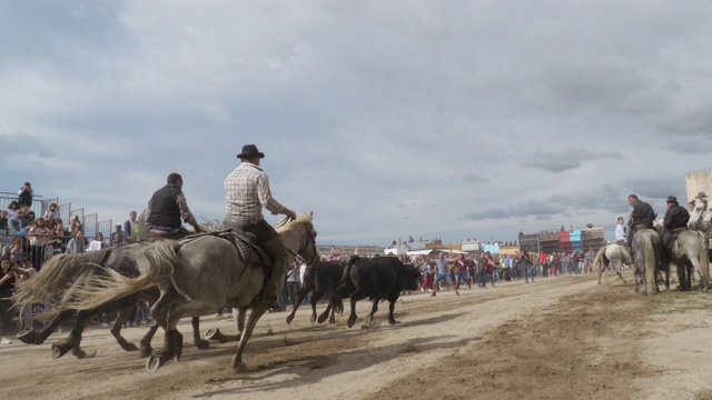 Aigues motes, Camargue, Occitanie，法国视频素材