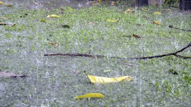 大雨和暴风雨导致后院被淹视频素材