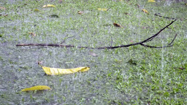 大雨和暴风雨导致后院被淹视频素材