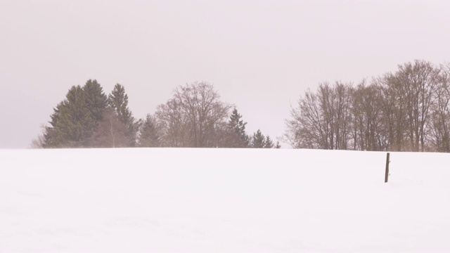 雪覆盖的景观和树木在多云的冬天的一天的背景视频素材