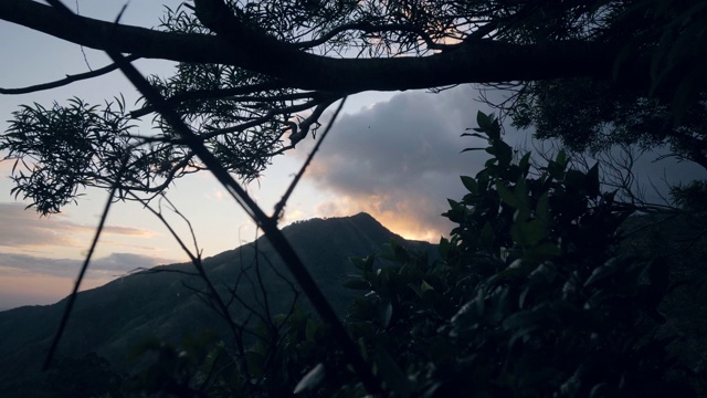 自然背景与山通过树枝在日落在黑暗。视频素材