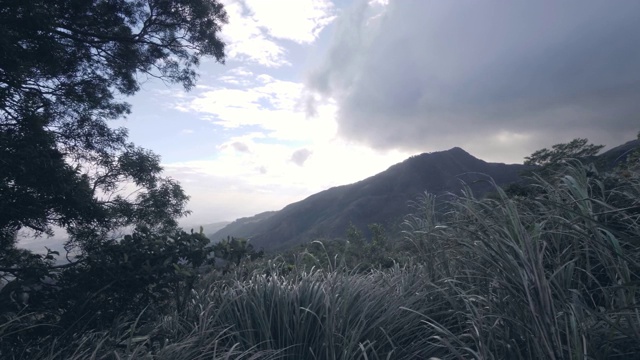 自然背景有草、树、山景观，傍晚天空多云。视频素材