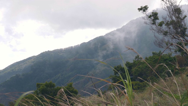 山上绿树成荫，白雾缭绕，景色透过山坡。视频素材