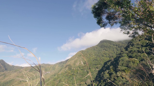 自然背景与山谷覆盖的绿色雨林在阳光明媚的一天。视频素材