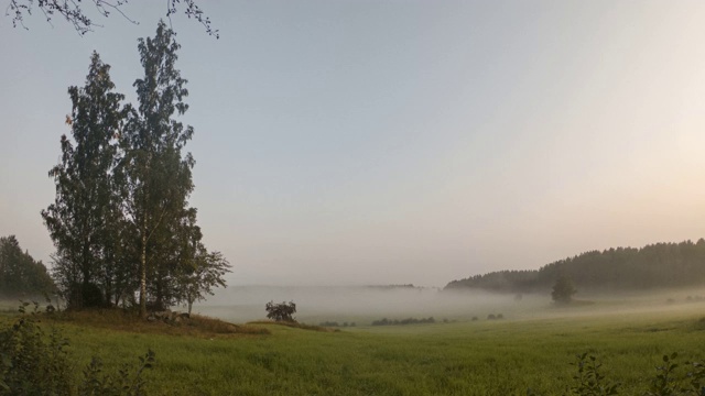 日出的时间在清晨，薄雾笼罩着田野视频素材