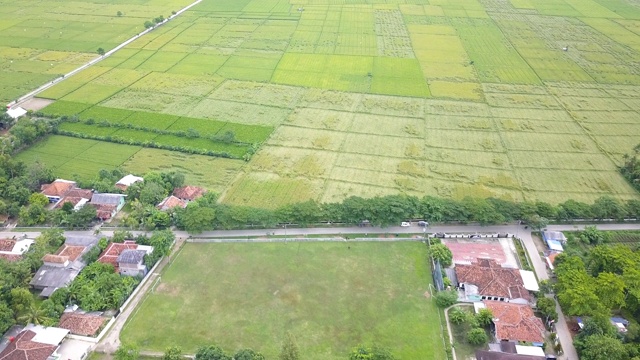 亚洲梯田鸟瞰图视频素材