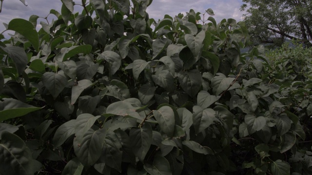 从中世纪钟楼俯瞰格拉茨老城，格拉茨，斯蒂里亚，奥地利阿尔卑斯山，奥地利，欧洲视频素材