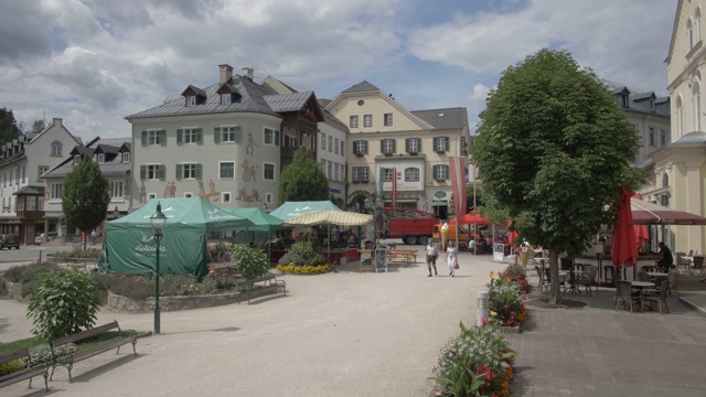 花和建筑在坏澳西，Styria，奥地利阿尔卑斯山，奥地利，欧洲视频素材