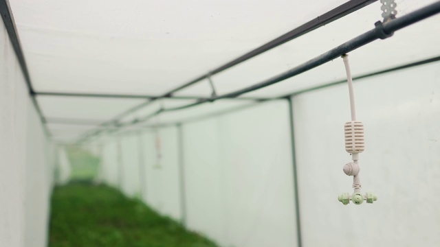 白色洒水器在温室的特写镜头。用于农业种植的灌溉系统。Autowatering植物。静态拍摄，广角拍摄视频素材