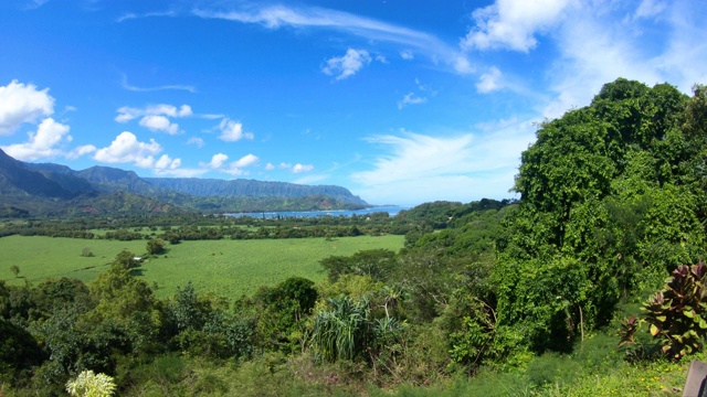 宽视角俯瞰郁郁葱葱的山谷山脉和纳帕利海岸，在哈纳雷湾，考艾岛/夏威夷视频素材