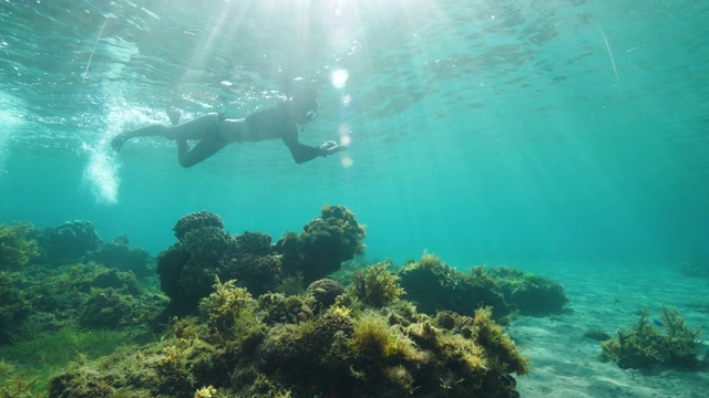 水下的观点，一个女人对着阳光浮潜在绿松石海洋视频素材