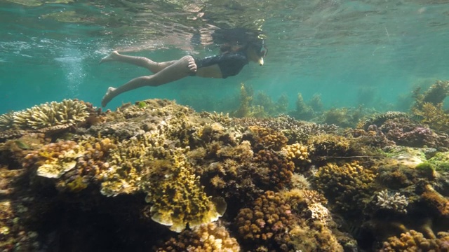 水下的一个年轻女子浮潜在海洋保护区。视频素材