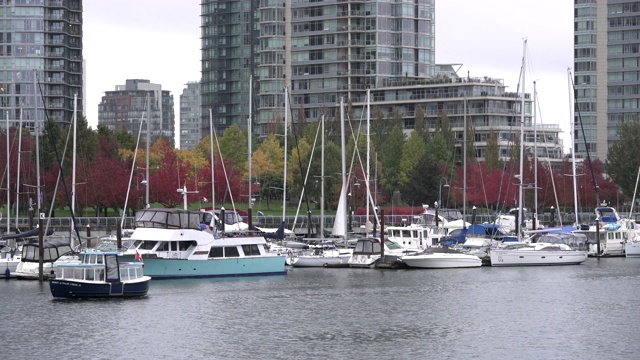 False Creek Vancouver秋季4K超高清视频素材