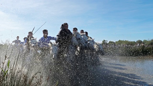 Aigues motes, Camargue, Occitanie，法国视频素材