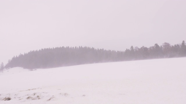 德国南部乡村遭遇低能见度暴风雪视频素材