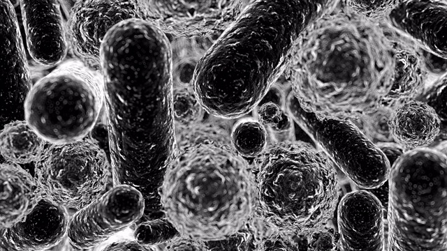 抽象微生物的3d渲染视频素材