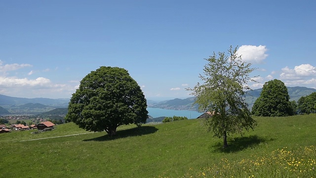 斯皮兹埃斯奇的尼森山景观和图恩湖的镜头视频素材