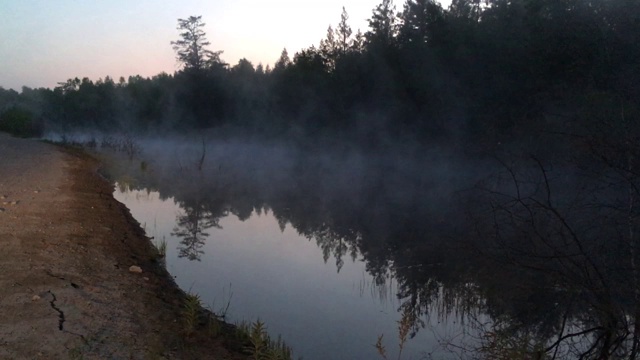 神秘的夜湖与雾视频下载