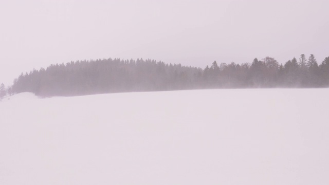 暴风雪横扫白雪覆盖的景观视频素材