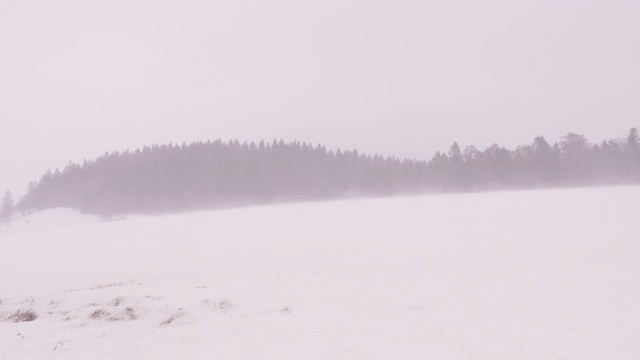 德国乡村遭遇暴风雪视频素材