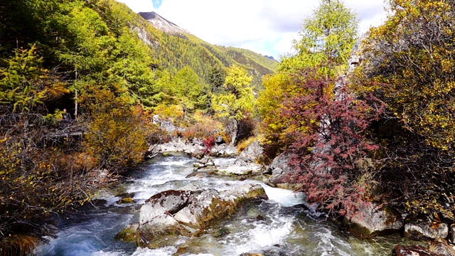 最后的香格里拉，道成亚丁，风景秀丽的亚丁自然保护区，四川，中国。在缓慢的运动。视频素材