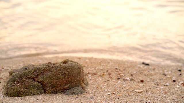 海景色橙黄色，美丽而富有蛤蜊视频素材