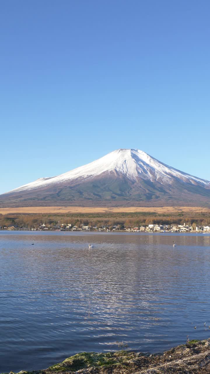 富士山上的山中湖视频素材