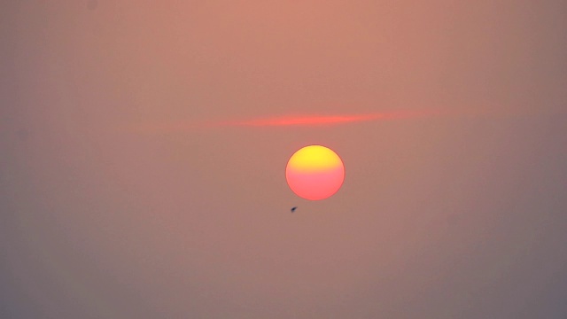 夕阳和天空的橙色线和鸟儿飞过太阳视频素材