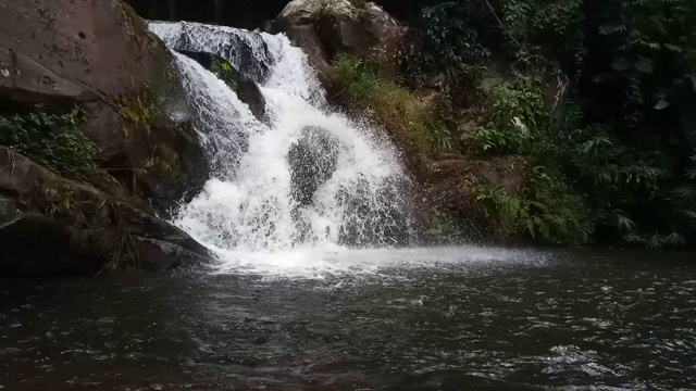 瀑布在热带雨林视频素材