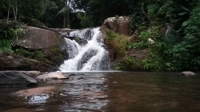 瀑布在热带雨林视频素材