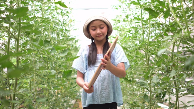 骄傲的孩子用有机的方法写和展示强调植物生长的有机词视频素材