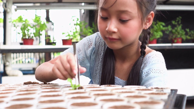 侧视图:笑傲的孩子把水培苗栽进新的塑料花盆里视频素材