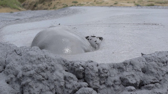 冒泡沸腾的活火山泥视频下载