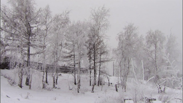 大雪覆盖了俄罗斯的一个村庄。视频素材